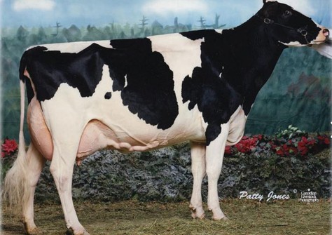Acme Star Lilly EX-94