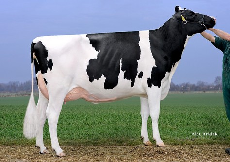 Drouner AJDH Aiko RDC VG-87