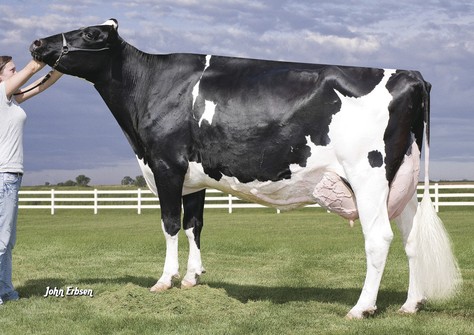 Early-Autumn Golden Rae EX-93