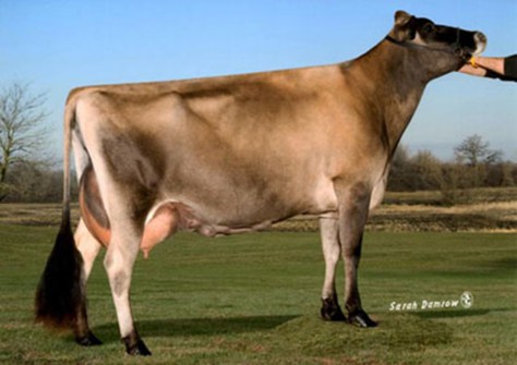 Family Hill Amadeo Colbi EX-94
