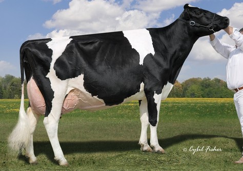 Lylehaven Lila Z EX-94