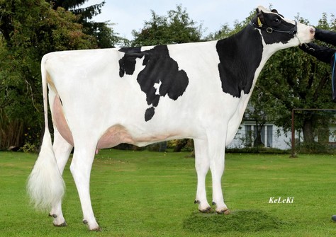 KHE Island VG-89