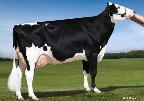 KHW Super Aderyn RC EX-90