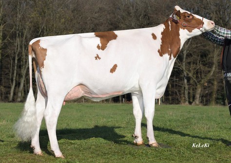 KNS Discogirl P Red VG-87