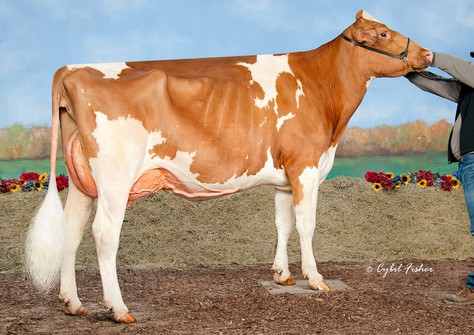 Luck-E Awesome Joy-Red EX-93