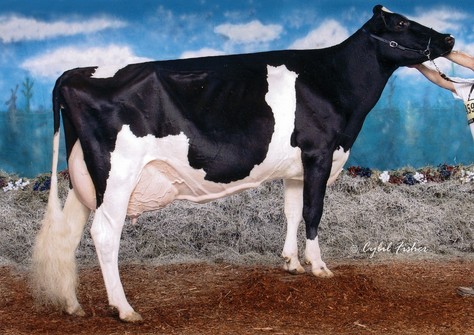 Lylehaven Form Laura EX-94