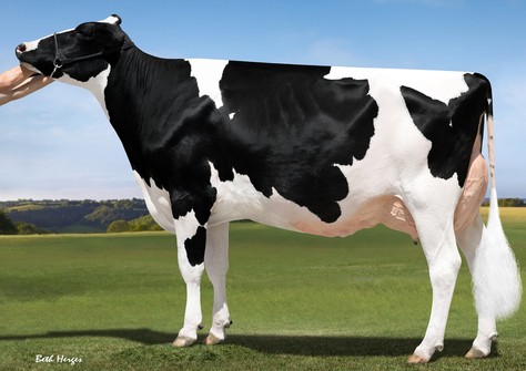 Our-Favorite Unlimited EX-94