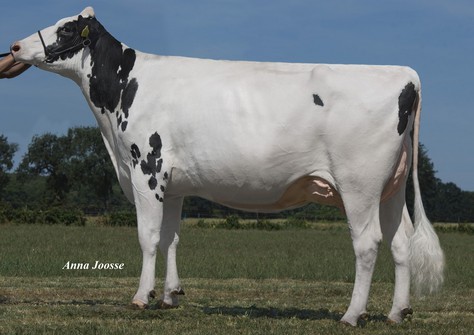 Southland Silvy Lucy EX-90