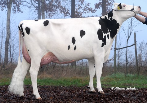 WEH Lucia VG-87