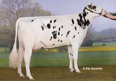 Anderstrup Ramos Camille VG-88