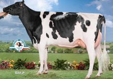 Hermine Tual, family of Maybelline VG-85