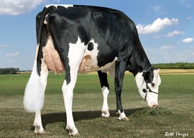 KHW Super Aderyn, moeder van Atwork RDC