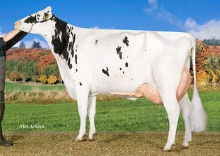 Anderstrup Snow Heaven VG-87