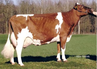 Schreur E Ihlen 64 EX-90