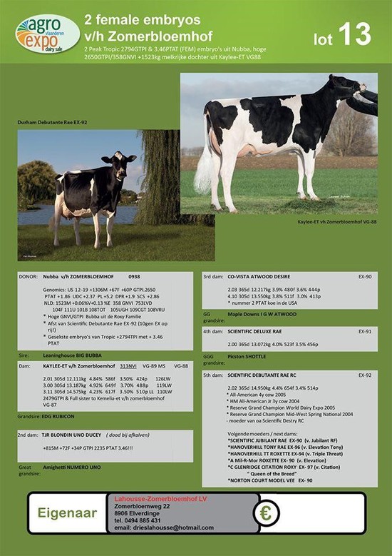 Van Het Zomerbloemhof Sells At Agro Expo Dairy Sale Genhotel