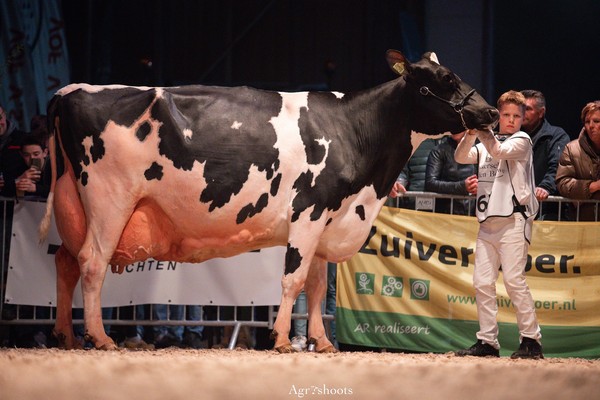 wh_rita_1529_p_rf_bloesemshow_2026nickb.jpg