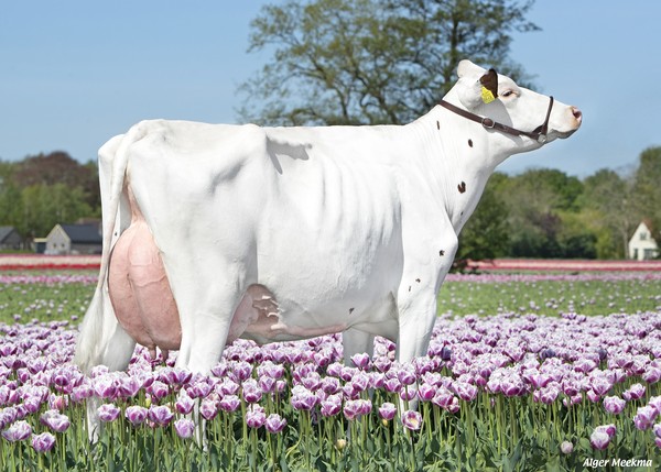 vmo_louisa_nl_689788684_sfeer.jpg