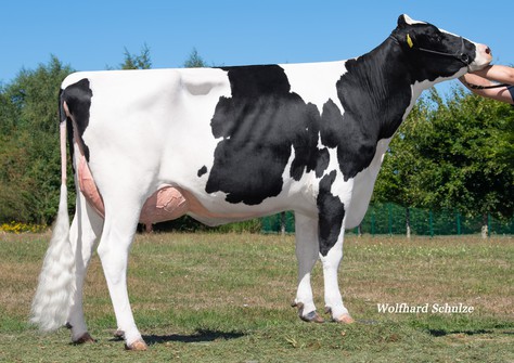 EHL JS Ronja P RDC VG-85