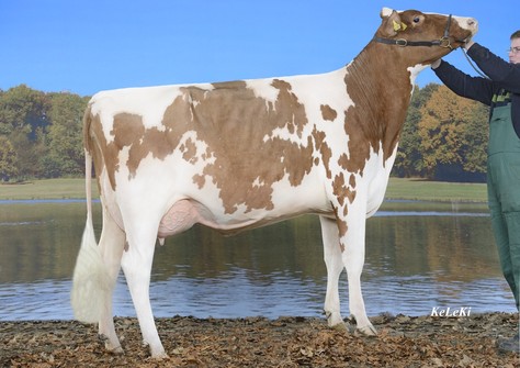 KOE Frieda VG-87