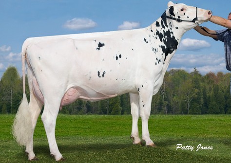 Wabash-Way Evett VG-86 Wabash-Way Evett VG-86