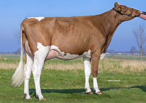 3STAR Christina Red VG-86