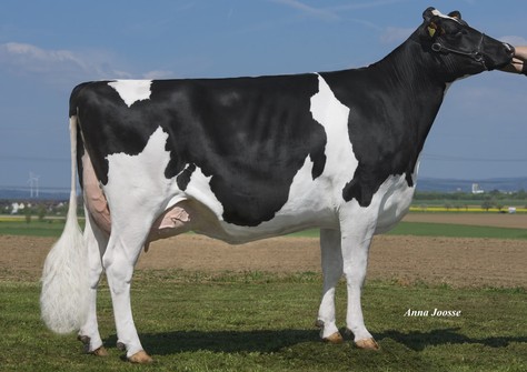 HLB Detroit VG-86 HLB Detroit VG-86