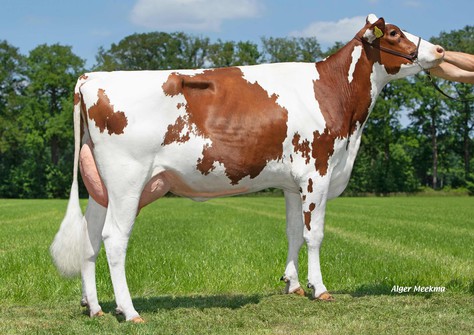 Aalshorst Geertje 313 VG-87