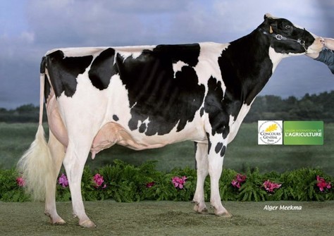 Agathe VG-88