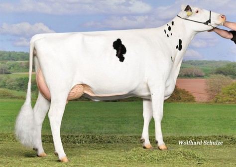 Aida RDC VG-86