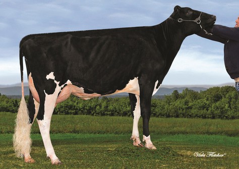 Aija Man O Man Naomi VG-85