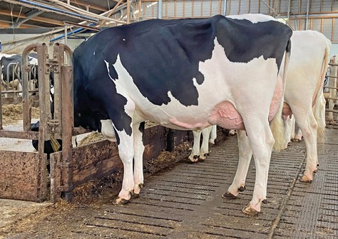 Aiko 1 RDC VG-89