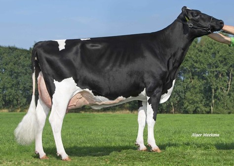 A-L-H Australia RDC VG-87