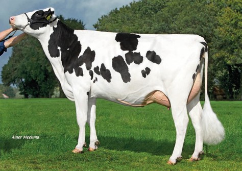 A-L-H Delta Modest VG-87