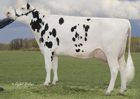 A-L-H Destiny VG-87