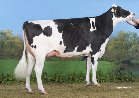 A-L-H Moviemax VG-85