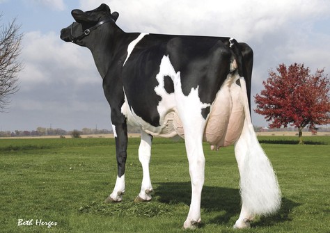 Ammon-Peachey Shauna EX-92