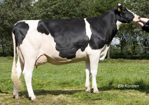 Anderstrup Bolton Elita VG-85