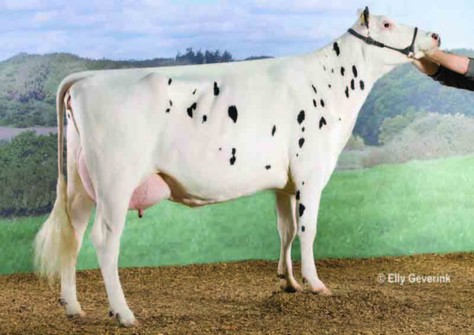 Anderstrup Laudan Camille VG-89