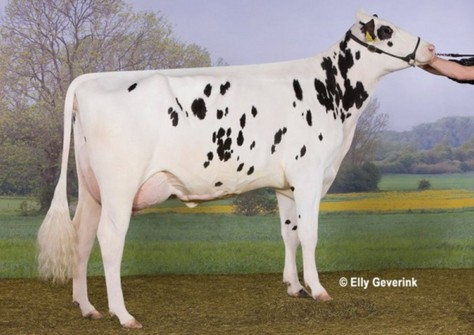 Anderstrup Ramos Camille VG-88