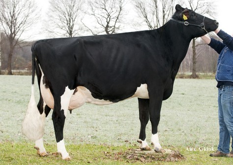 Apina Massia 102 RDC EX-90