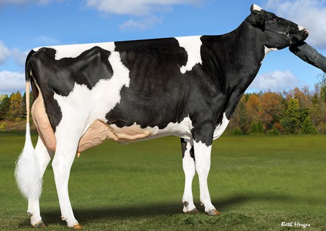 Apple PTS Aubrlyanna RDC VG-85