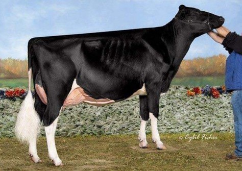 Arethusa Sid Tess EX-92