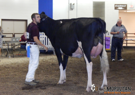 Arethusa Sid Tess EX-92