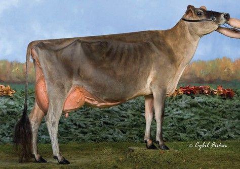 Arethusa Veronicas Dasher EX-95