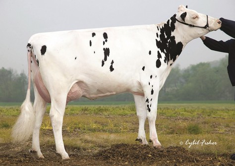 Art-Acres Kay721-ET EX-90 Art-Acres Kay721-ET EX-90