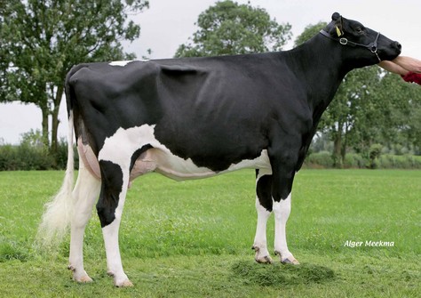 Bacchus Eliza Mae VG-89