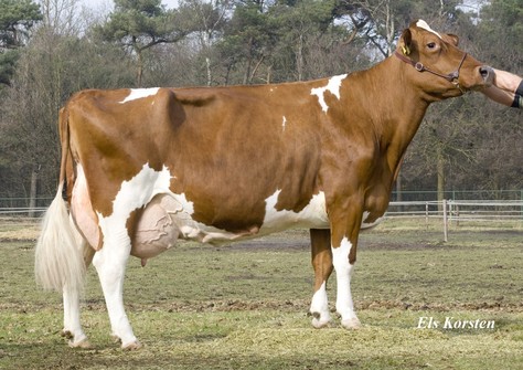 Barendonk Emma 160 EX-90