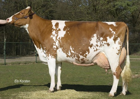 Barendonk Emma 192 EX-91