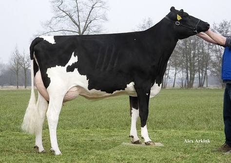 Barendonk Paulina 139 RDC VG-87