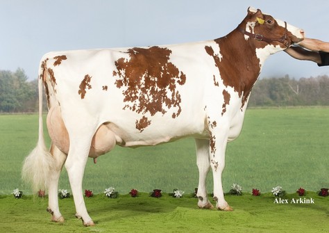 Barendonk Wilma 208 EX-92